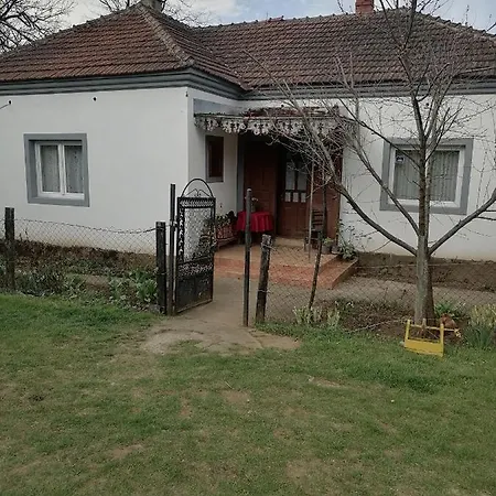 Etno Kuca Badejevic *