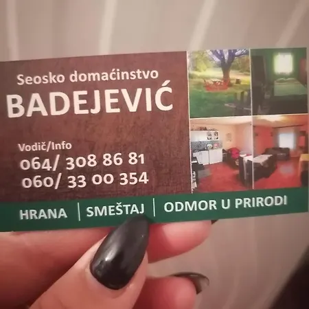 Etno Kuca Badejevic * Plavna