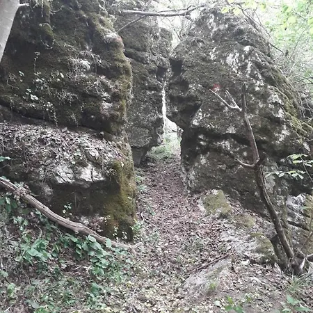 Etno Kuca Badejevic Дом отдыха Plavna (Negotin)