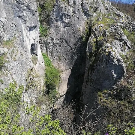Holiday home Etno Kuca Badejevic *
