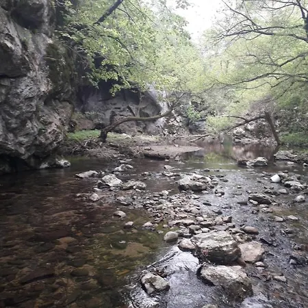 Etno Kuca Badejevic Holiday home Plavna