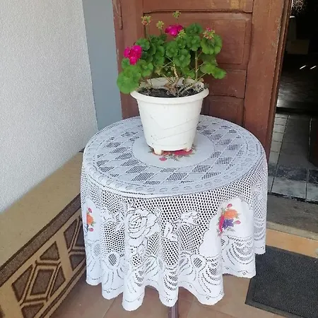 Etno Kuca Badejevic Plavna (Negotin)