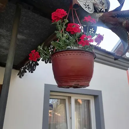 Etno Kuca Badejevic Plavna (Negotin)