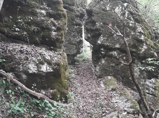 Etno Kuca Badejevic Дом отдыха Plavna (Negotin)