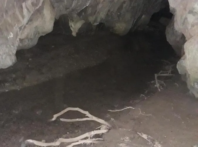 Etno Kuca Badejevic *