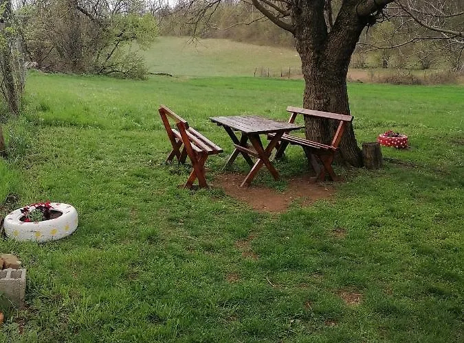 Дом отдыха Etno Kuca Badejevic Plavna (Negotin)