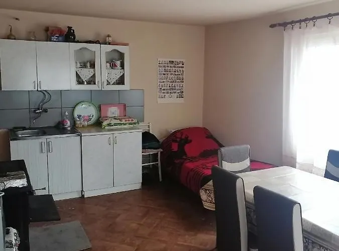 Дом отдыха Etno Kuca Badejevic Plavna (Negotin)