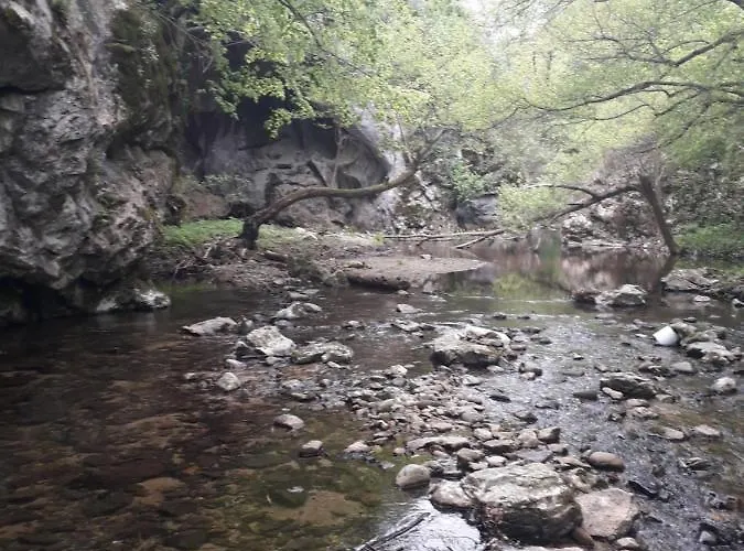 Etno Kuca Badejevic Дом отдыха Plavna (Negotin)