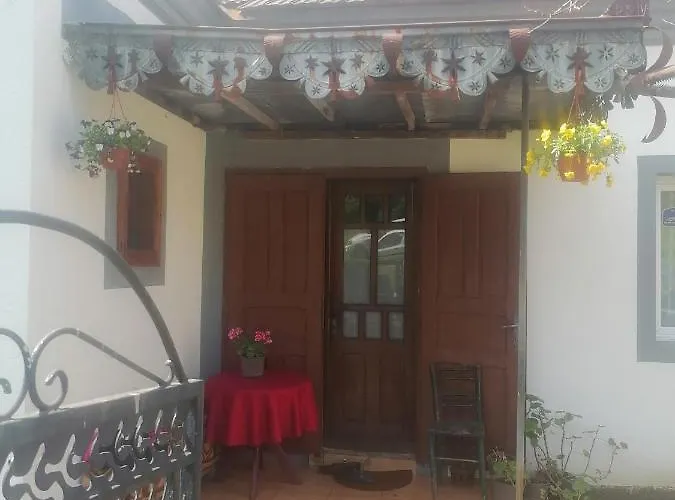 Дом отдыха Etno Kuca Badejevic Plavna (Negotin)